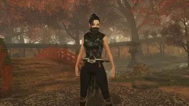 Hayabusa Shinobi Battle Cuirass Crossover - Female/Mod addon