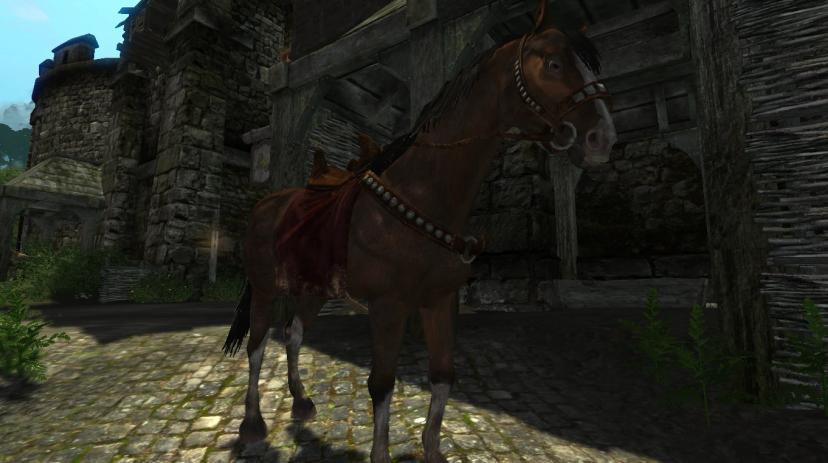 Обновление Skyrim Horses - Заменитель для Enderal addon