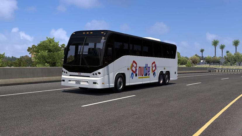 Mod de Nudle Coach addon