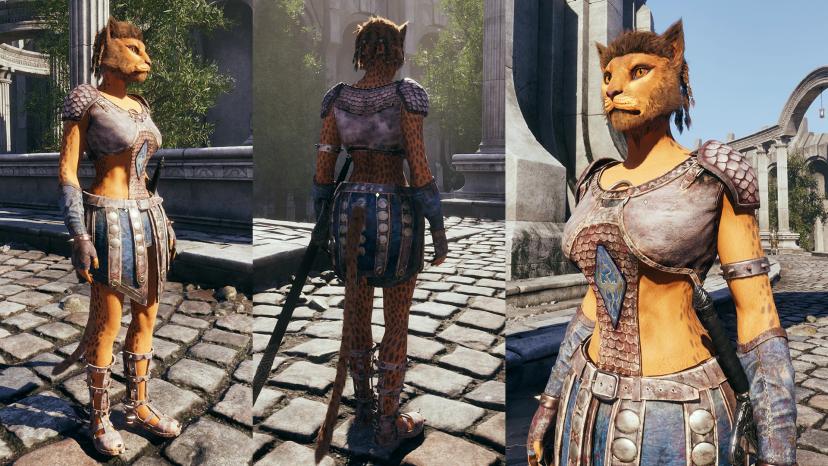 Arena Armor Redux addon