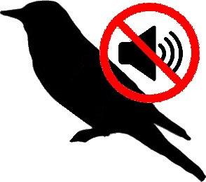 Silent birds addon