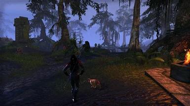 Решад Зарока addon