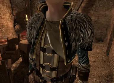 HD Anders Armor addon