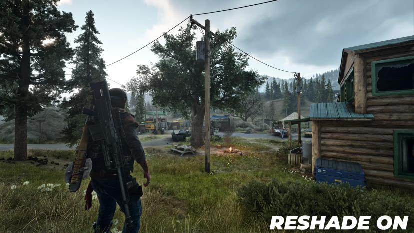 Reshade for all games (Days Gone) mod addon