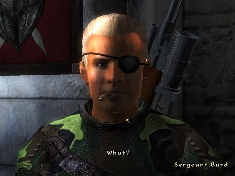 Oblivion, "AK-47 and Camo Gear." addon
