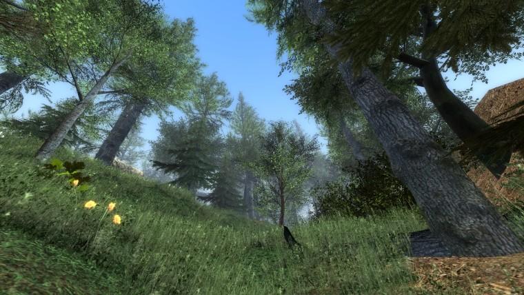 Forest map addon