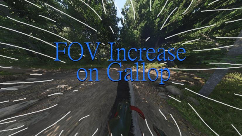 Увеличение поля зрения при галопе addon