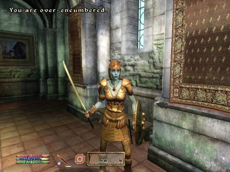 TES 4: Oblivion, "Pit Armor" addon