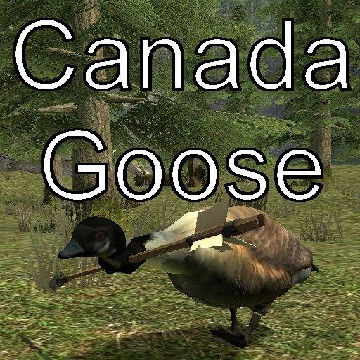 Canada Goose addon