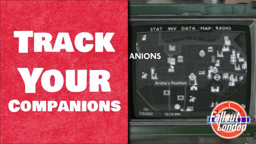 Keep an eye on your companions - Fallout London version addon