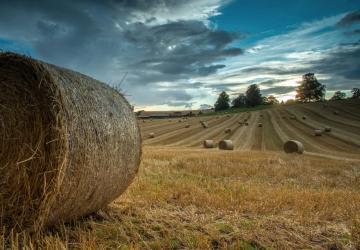 Calmsden Farm Map - Recycling addon