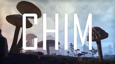 CHIM Перекрашивание addon