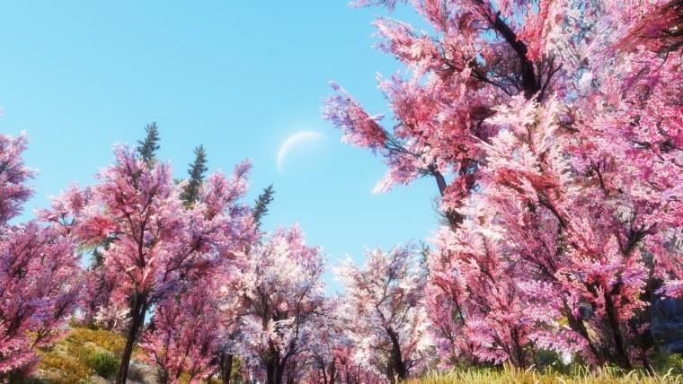 Sakura trees addon