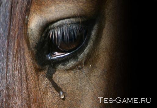 Horses are dying addon
