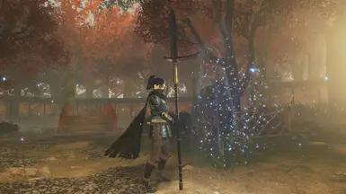Isshin Ashina Spear/Mod addon