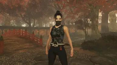 Simplified Shinobi Cuirass - Female/Mod addon