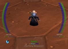 IceHUD addon