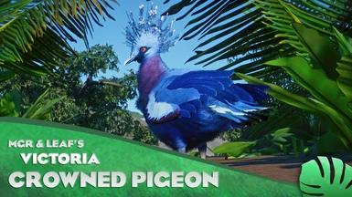 Crown pigeon Victoria - new species (1.13) addon