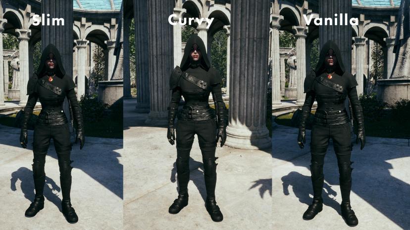 Thinner Dark Brotherhood Female Armor addon