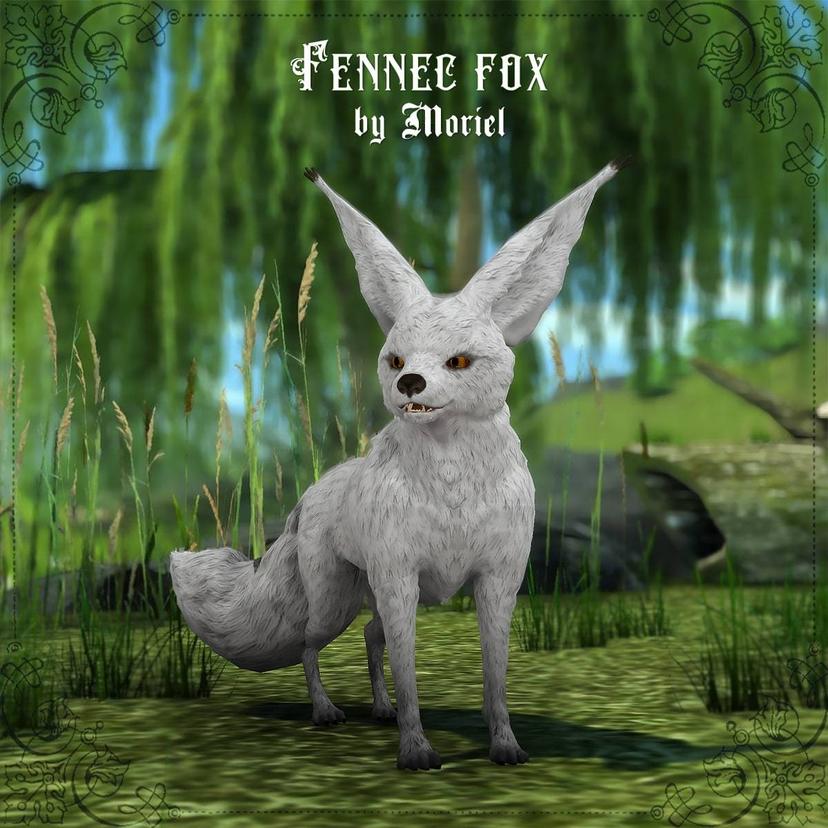 Fennec costume addon