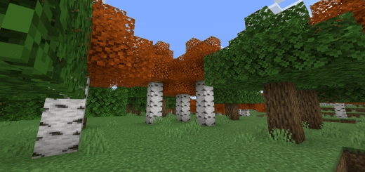 Осенние берёзы addon