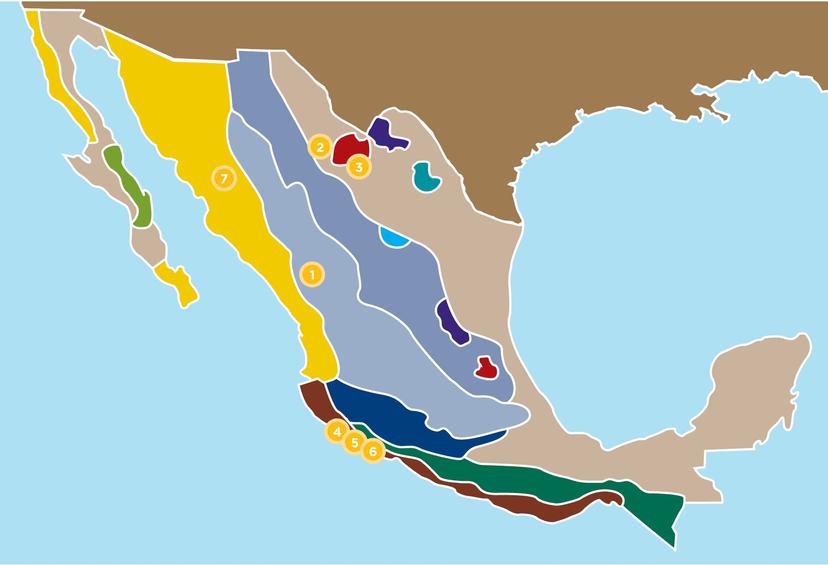 More realistic Mexican sources. addon