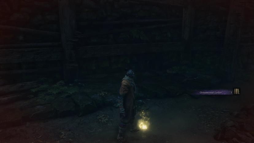 Unlock all outfits. No tutorials. No item pop-ups. Less fight music. Hardcore mode. addon