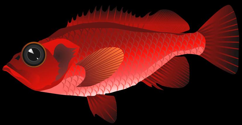 Easy Fishing RUS addon