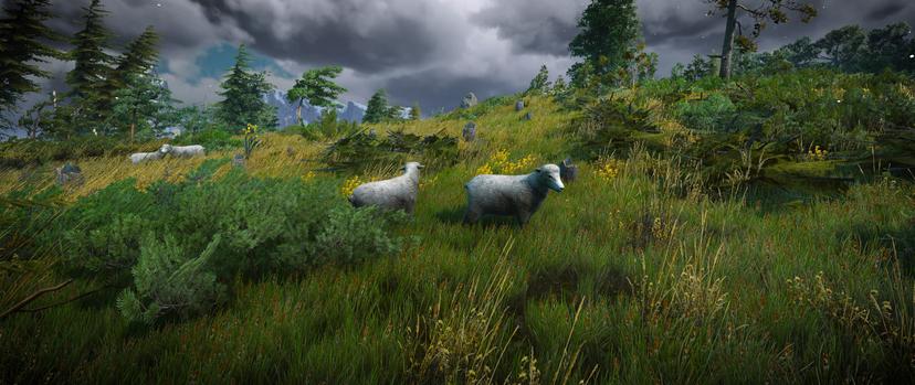 HD sheep addon