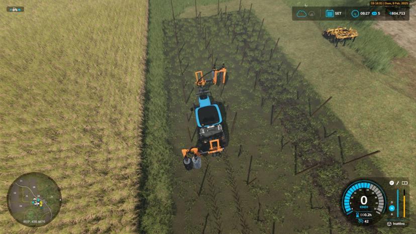 Узкие виноградные лозы и оливки addon