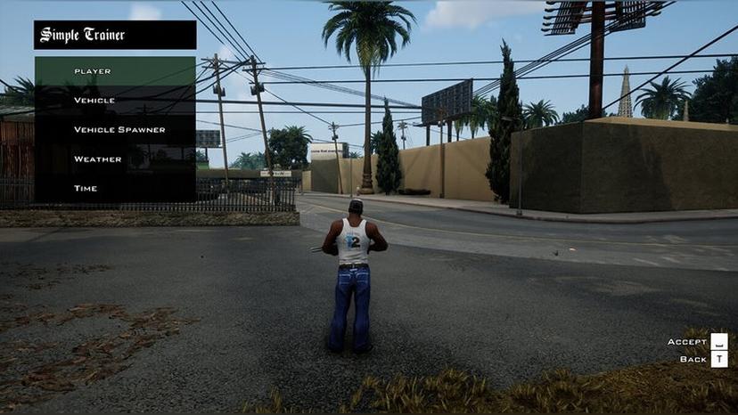 Simple Native Trainer / Simple native trainer addon