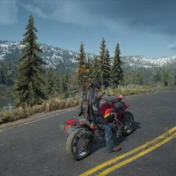 Days Gone "Color Normalization". addon