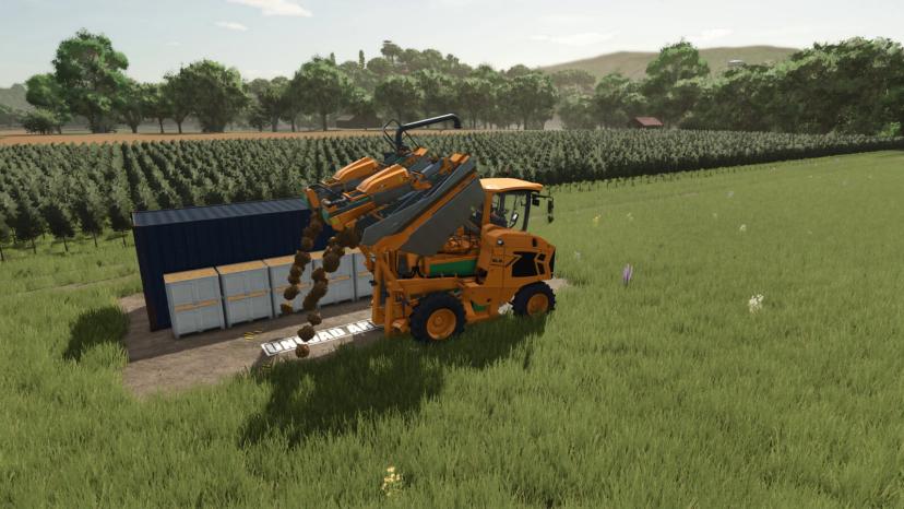 Armazenamento de uvas e azeitonas addon
