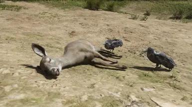 Расстояние появления трупов addon