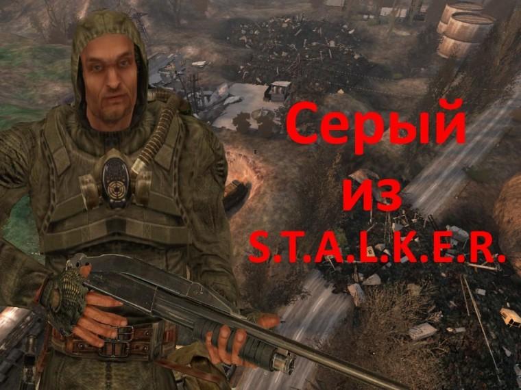 Gray from S.T.A.L.K.E.R. addon