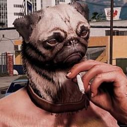 Pug Man addon