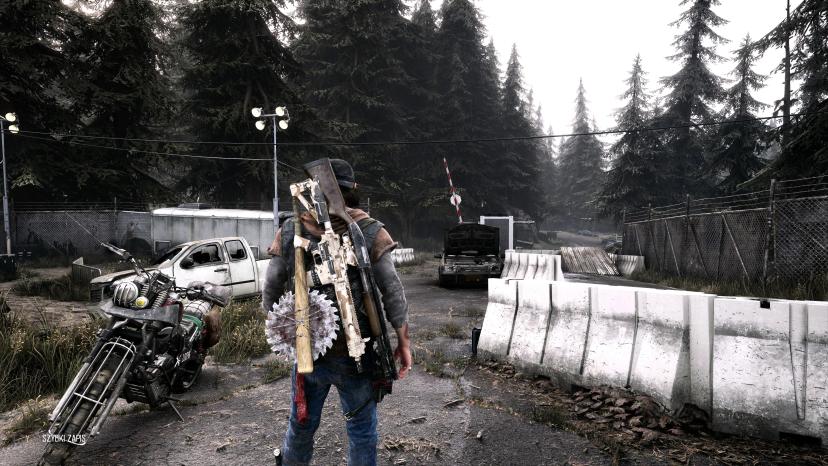 Days Gone - Nomad Cinematic Reshade mod addon