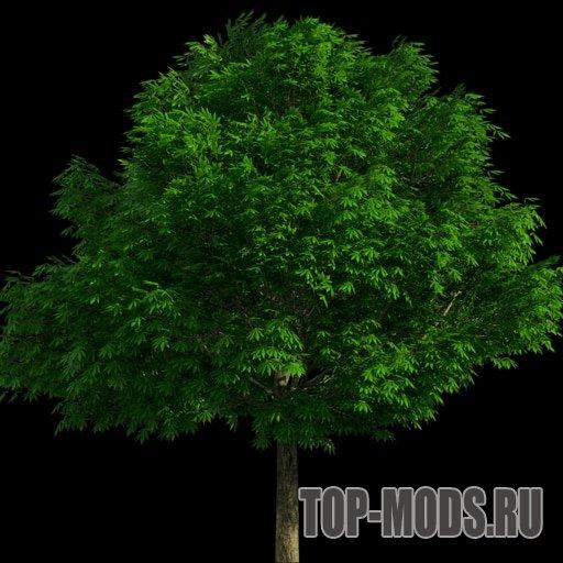 "Trees map" mod addon