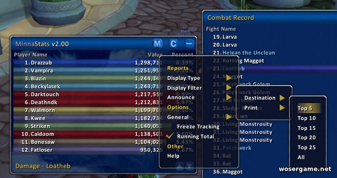 Skada 9.2.5 - Addition for maintaining damage statistics and much more. addon