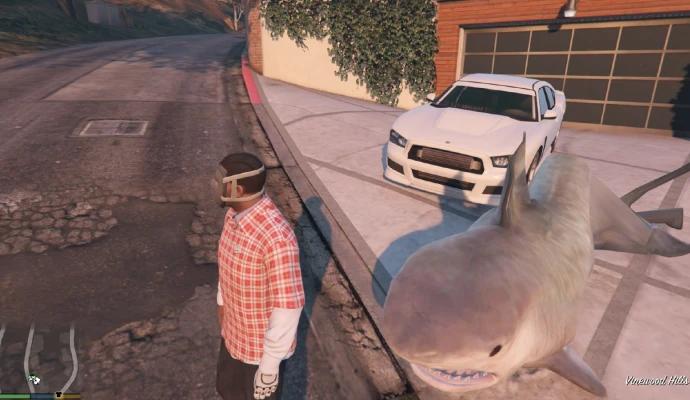 Mod that adds a shark addon