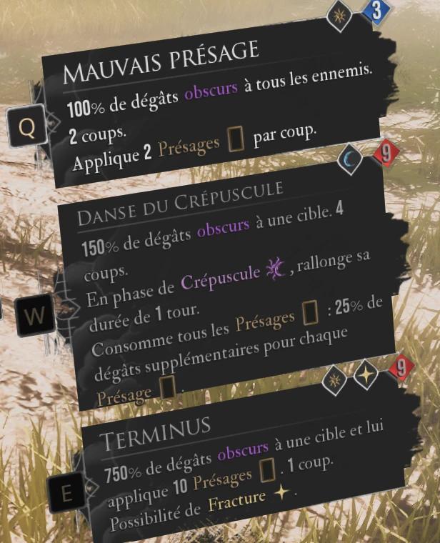 FR - Extended Descriptions - Skill and Weapon Icons addon