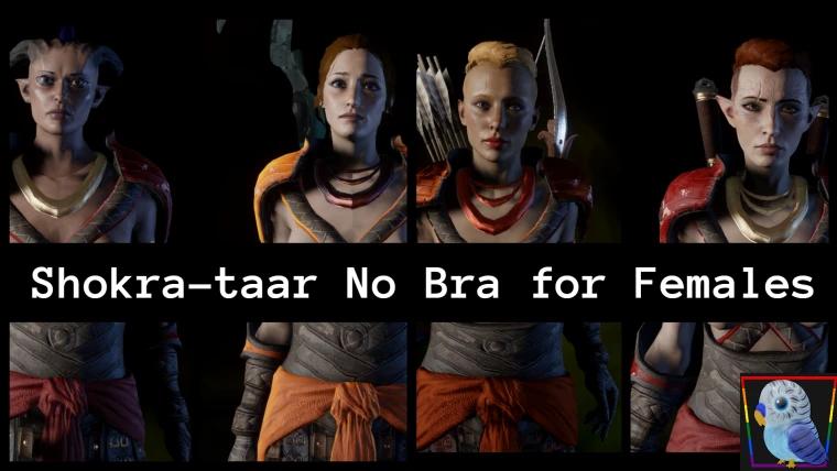 Dragon Age: Inquisitions, "Shocklet armor without bracelets for female characters." addon