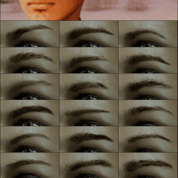 "Eyebrow reconstruction - eyebrows and facial tissue." addon