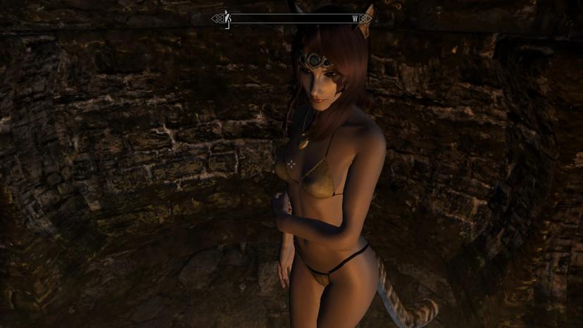 Compatible with Circlet Cat Disguise Kit addon