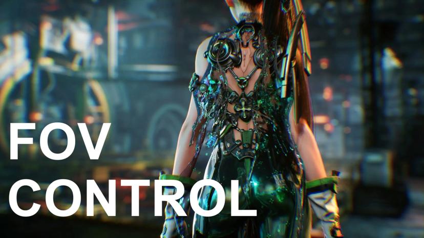 Field of view control addon