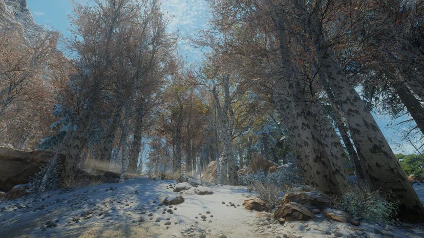 Ice Aspens for Seasonal Winter Aspens Enderal Tree Substitute addon