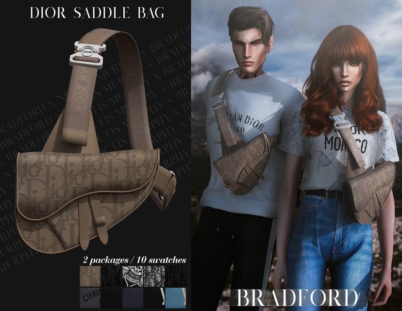 Bag "Dior Saddle Bag" addon