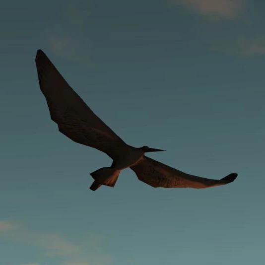 More birds addon